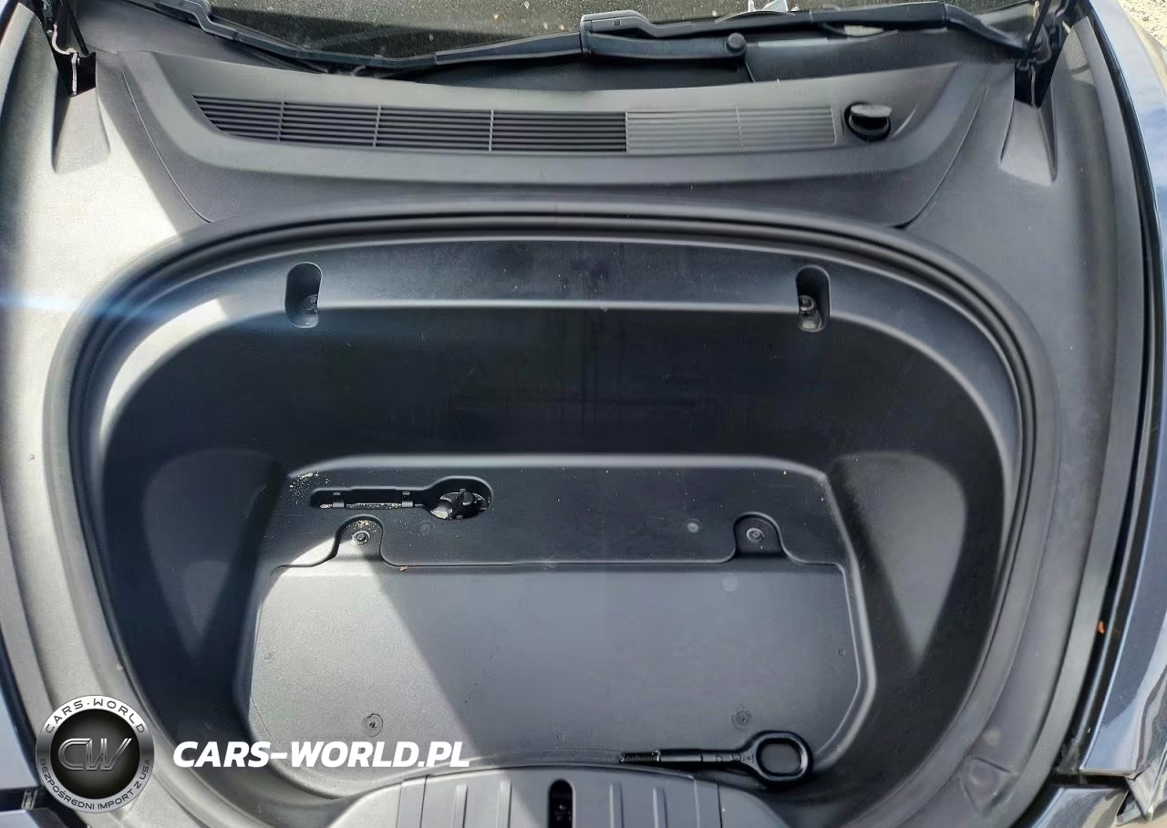 2020 Tesla Model 3 VIN:5YJ3E1EB5LF668736 - 11