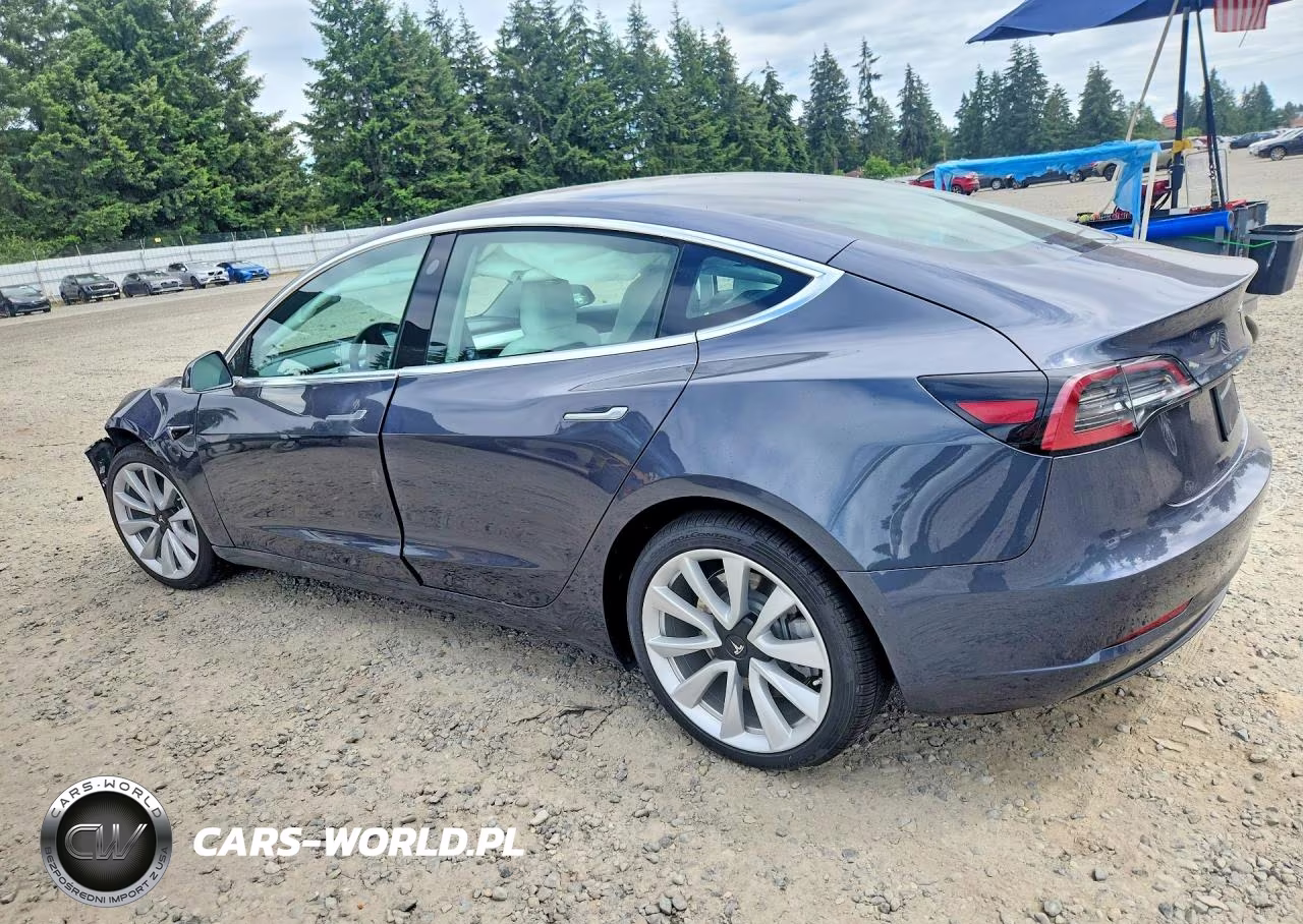 2020 Tesla Model 3 VIN:5YJ3E1EB5LF668736 - 2