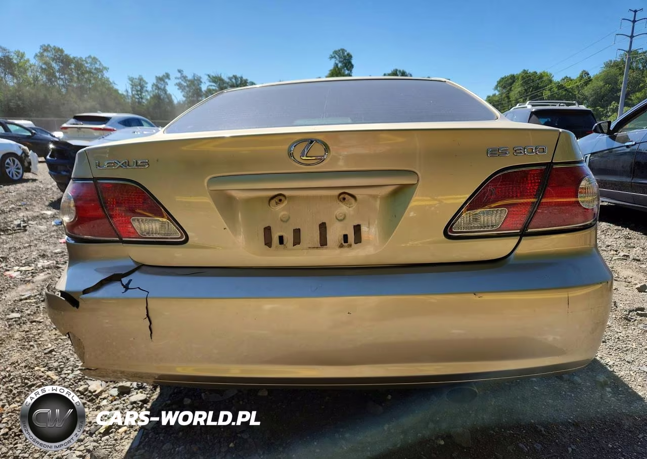 2002 Lexus Es 300 VIN:JTHBF30G220060935 - 6