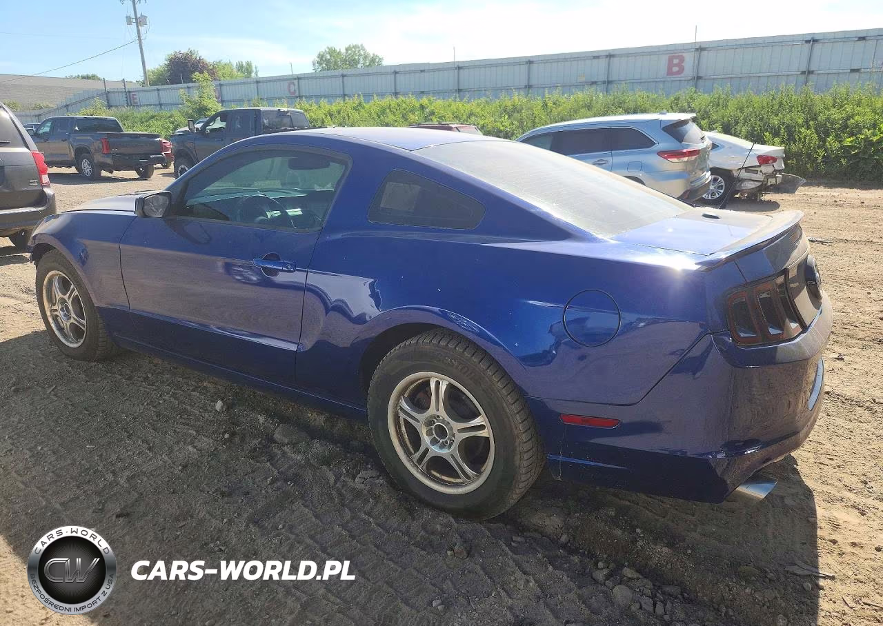 2013 Ford Mustang VIN:1ZVBP8AM0D5227781 - 2