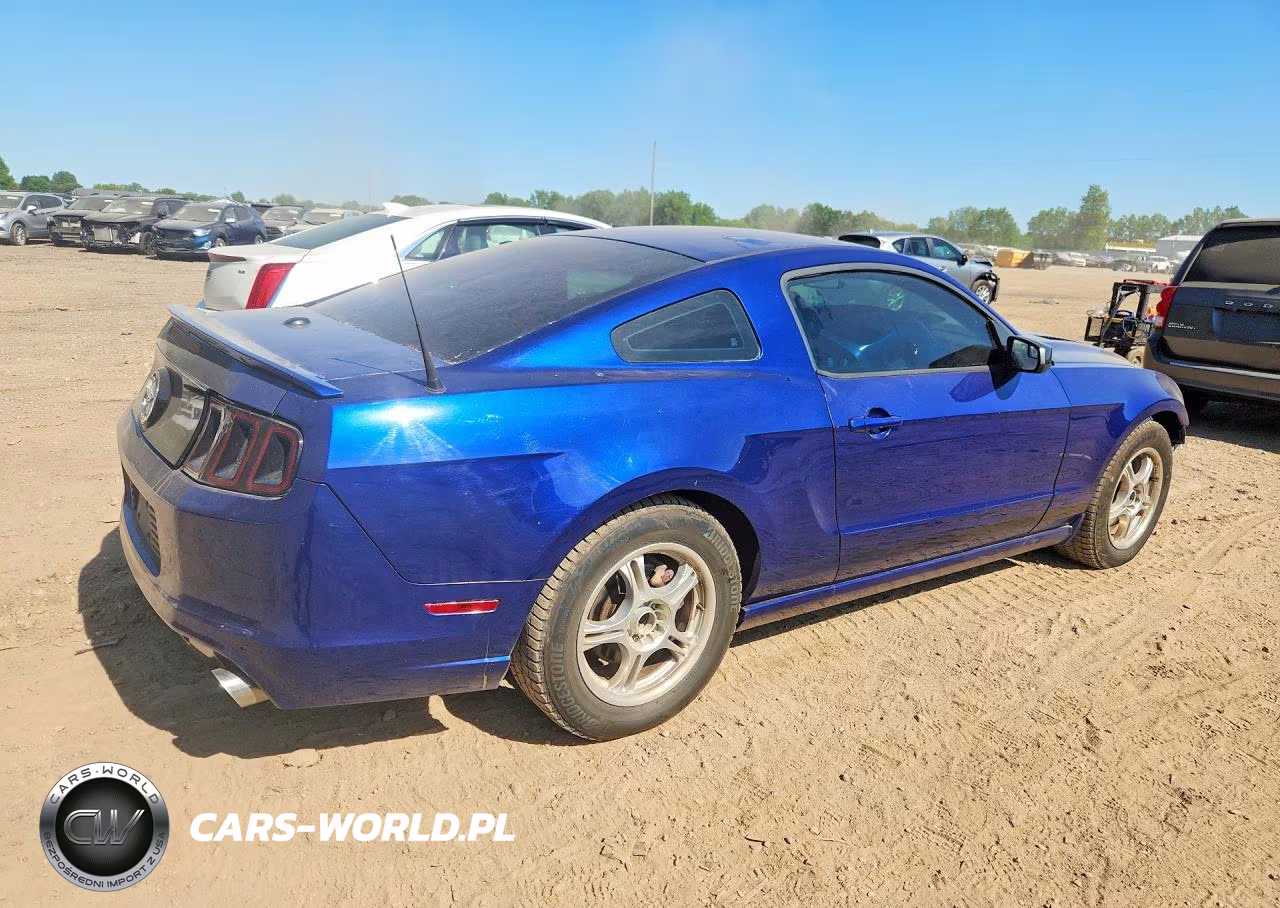 2013 Ford Mustang VIN:1ZVBP8AM0D5227781 - 3