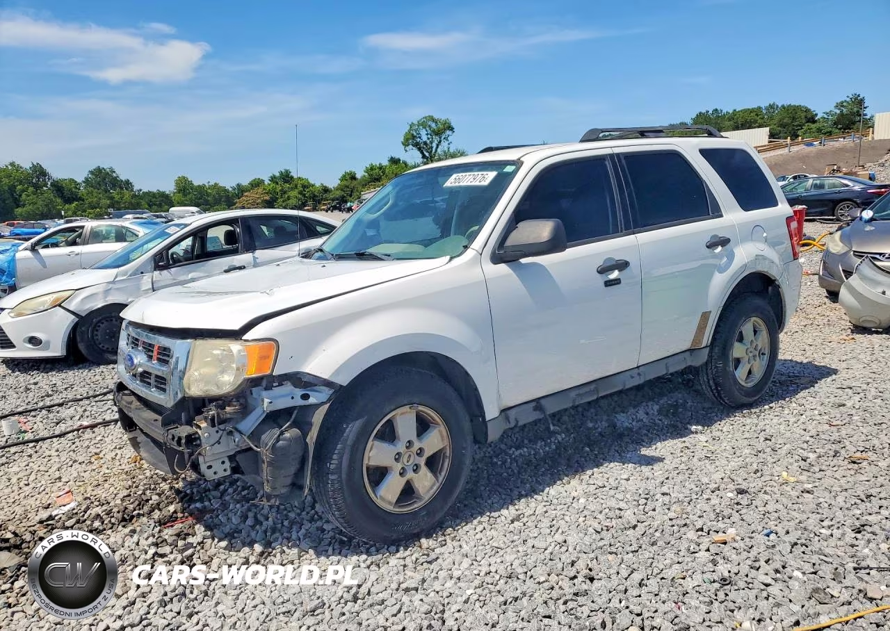 2011 Ford Escape Xlt