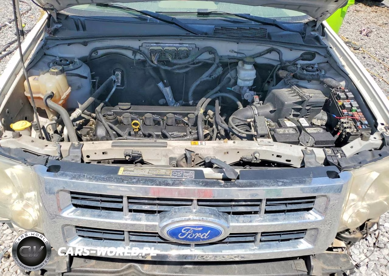 2011 Ford Escape Xlt VIN:1FMCU0D71BKC13020 - 12