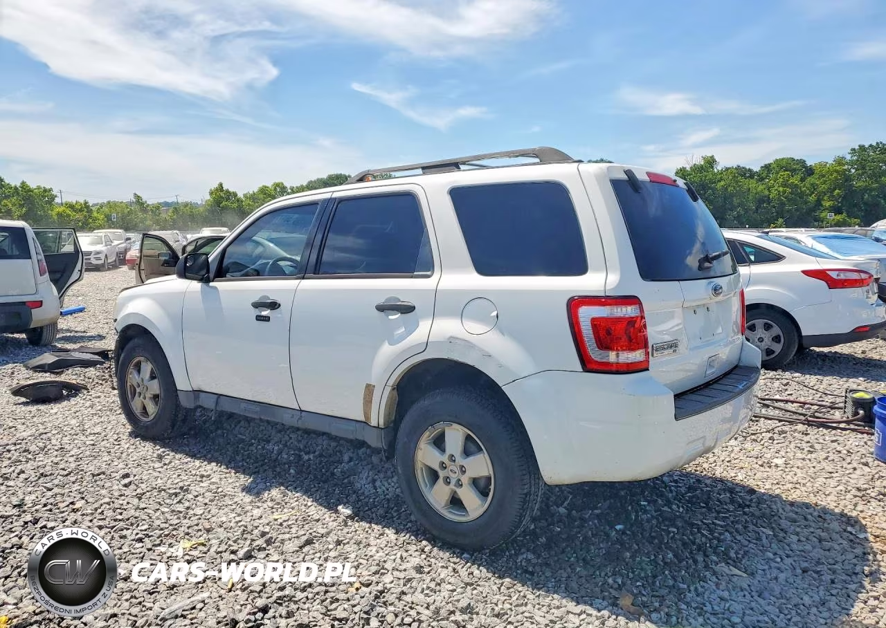 2011 Ford Escape Xlt VIN:1FMCU0D71BKC13020 - 2
