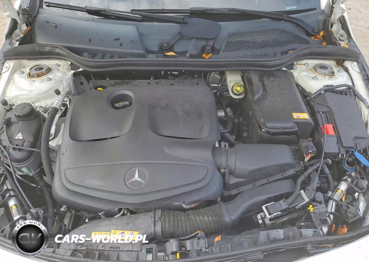2015 Mercedes-Benz Cla 250 VIN:WDDSJ4EB1FN162048 - 11