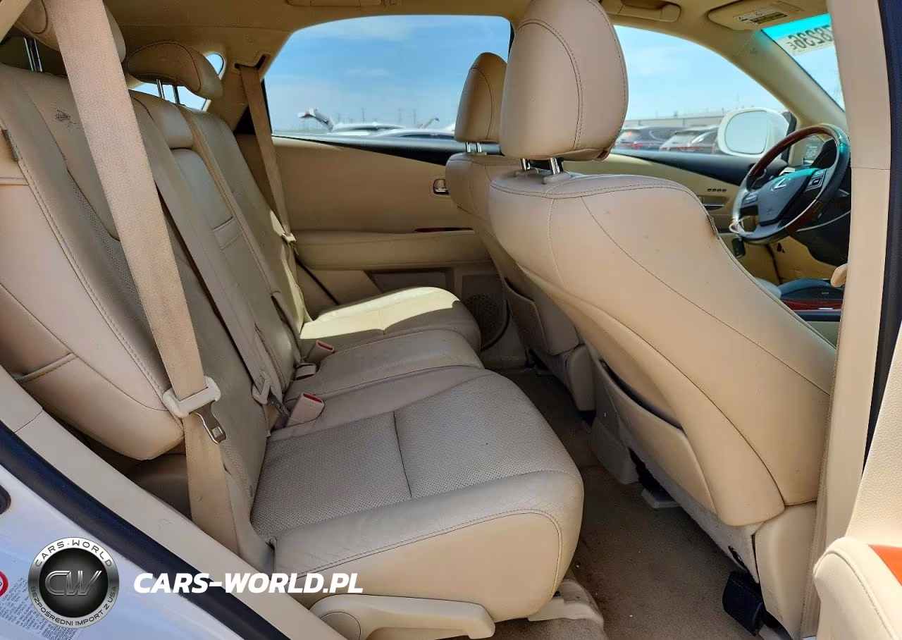 2010 Lexus Rx 350 VIN:JTJZK1BA0A2000953 - 10