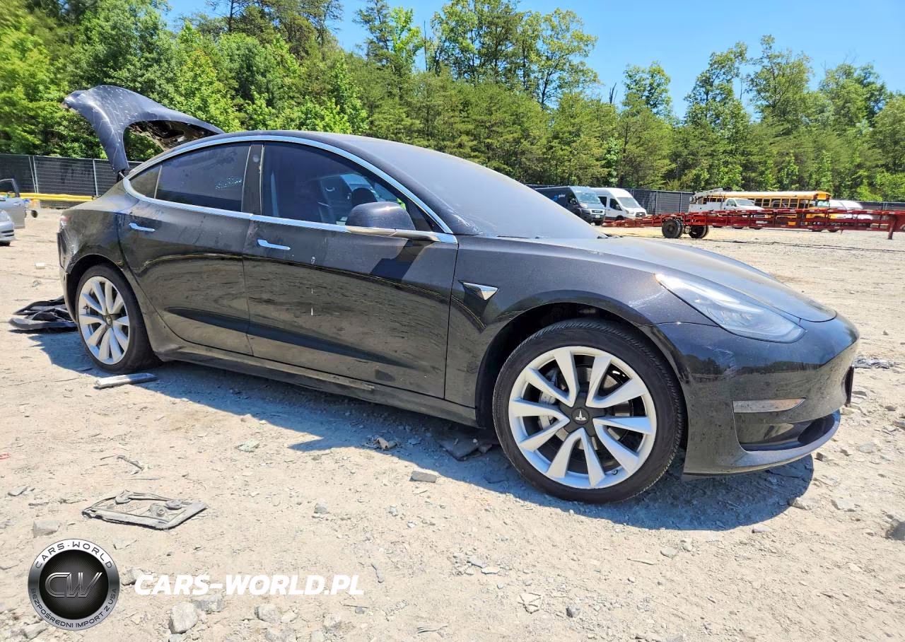 2020 Tesla Model 3 VIN:5YJ3E1EA2LF590813 - 4