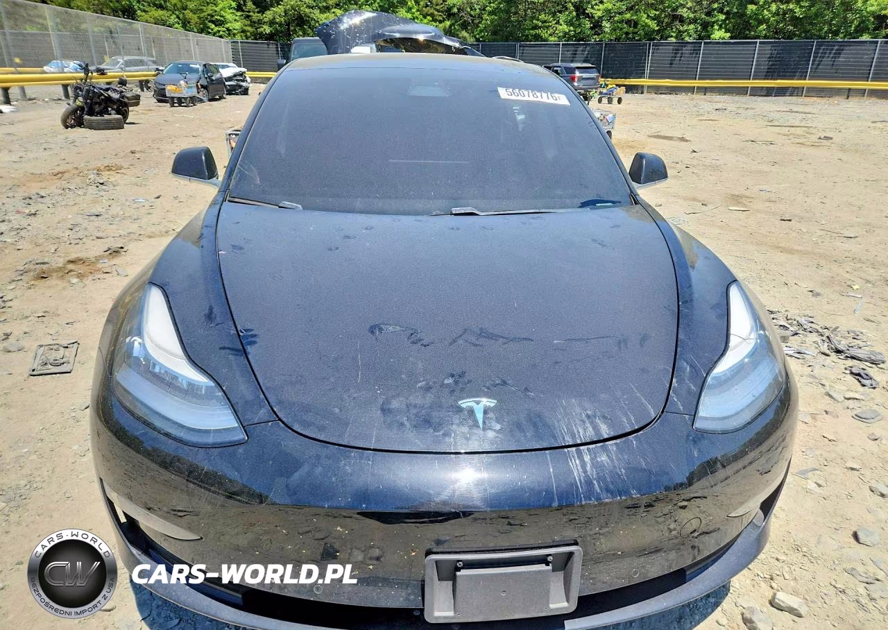 2020 Tesla Model 3 VIN:5YJ3E1EA2LF590813 - 5