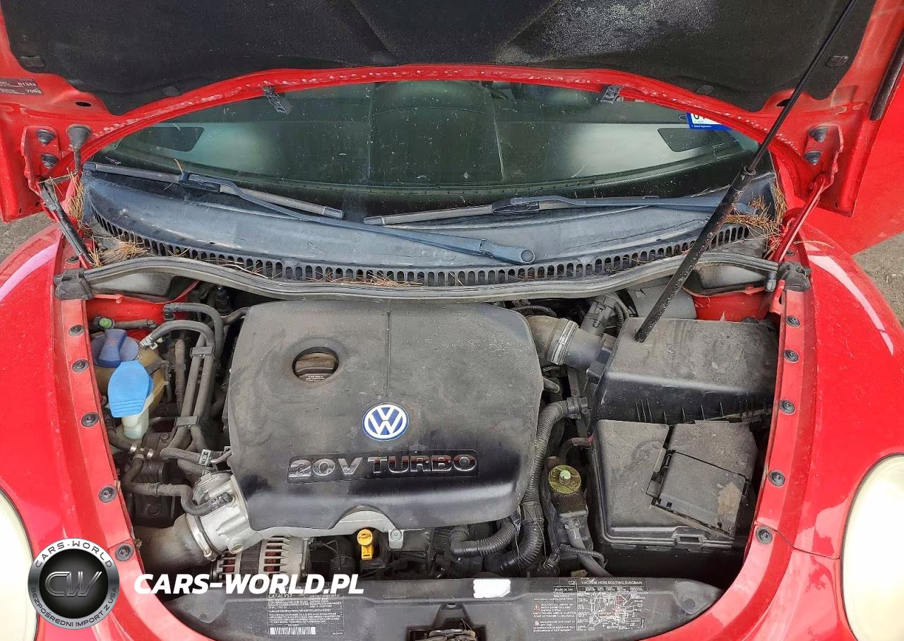 2003 Volkswagen Beetle VIN:3VWDD21C13M411447 - 11