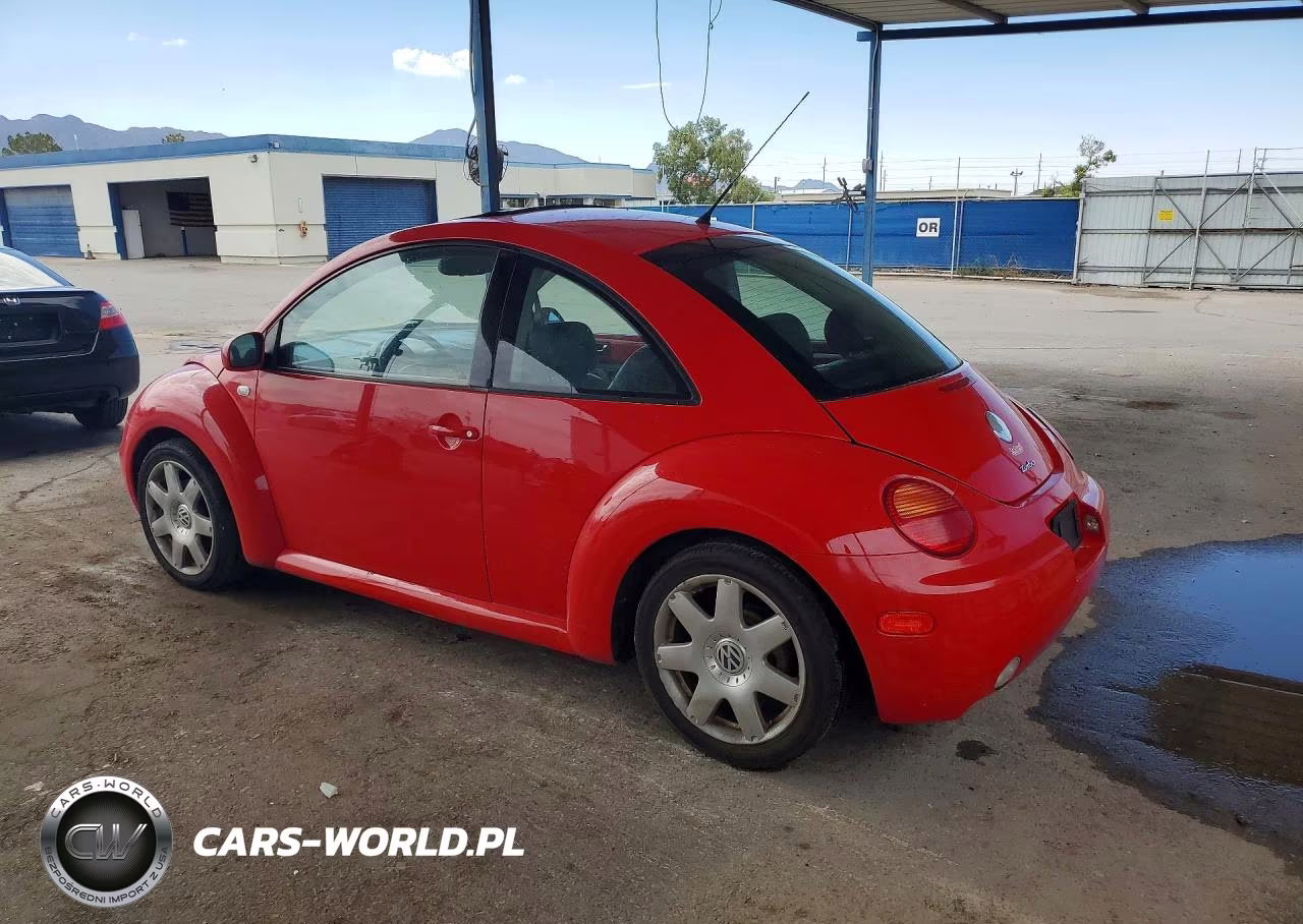 2003 Volkswagen Beetle VIN:3VWDD21C13M411447 - 2