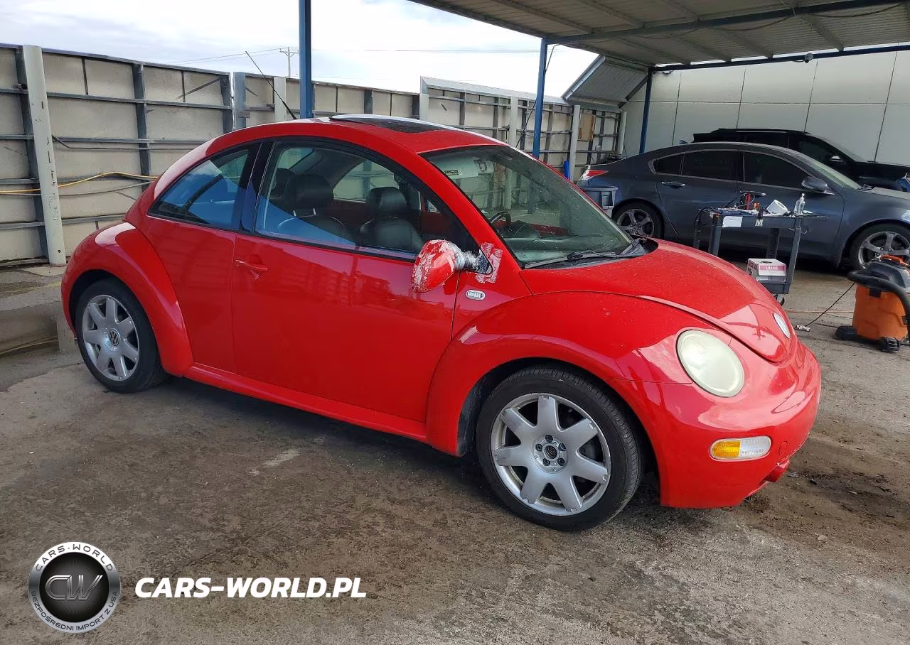2003 Volkswagen Beetle VIN:3VWDD21C13M411447 - 4
