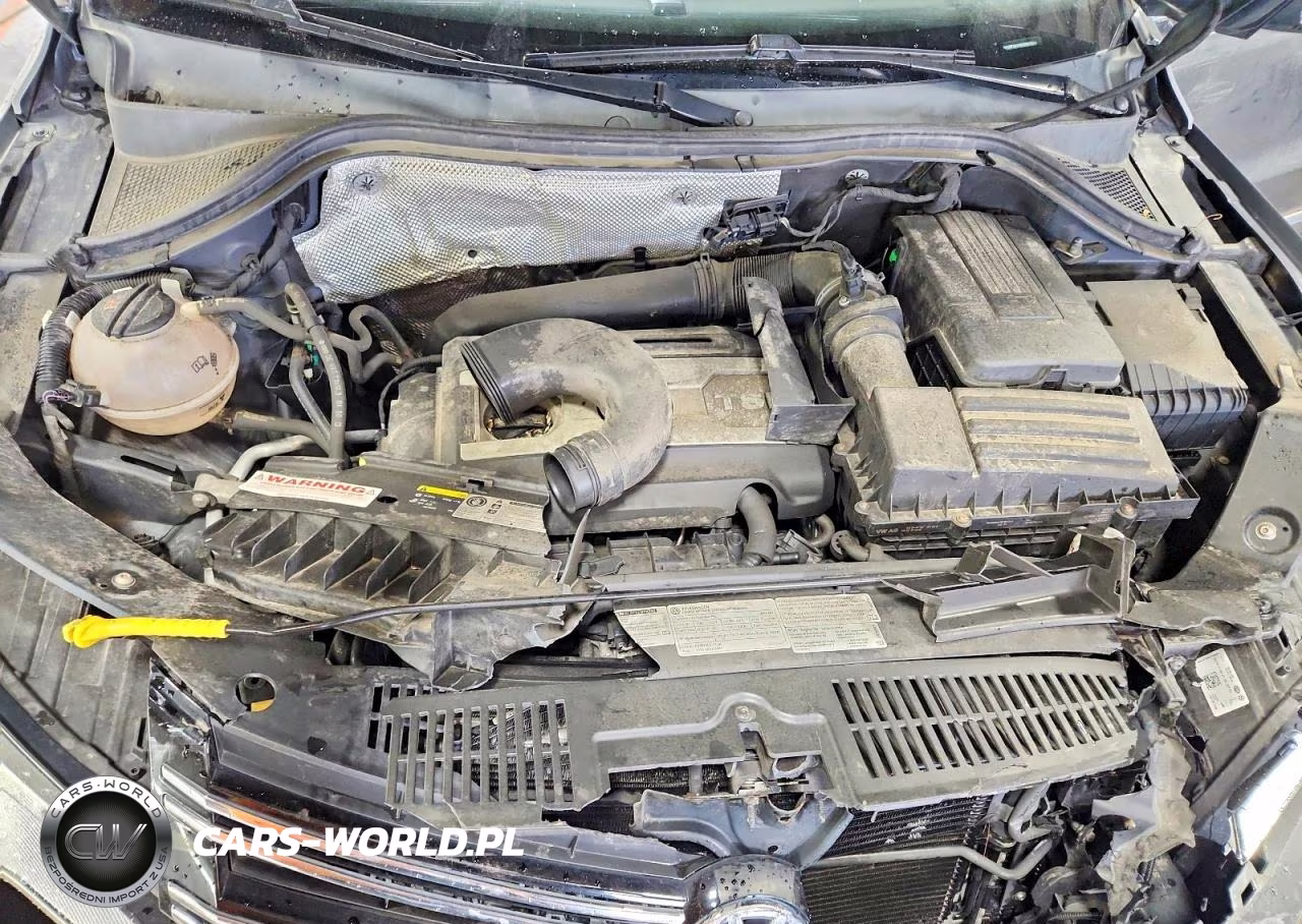 2014 Volkswagen Tiguan S VIN:WVGBV3AX4EW591814 - 11