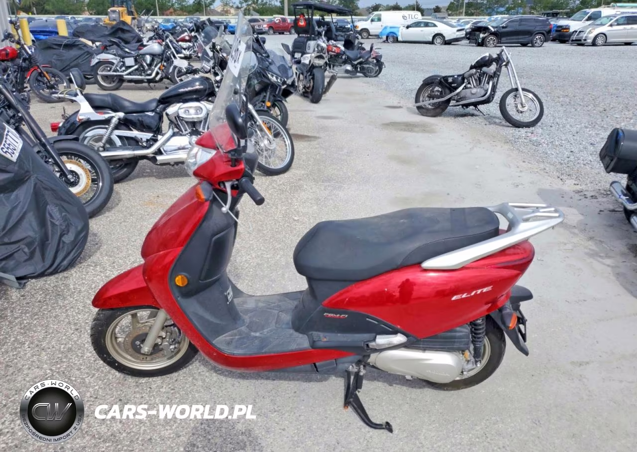 2010 Honda Elite VIN:LWBJF1906A1002025 - 3