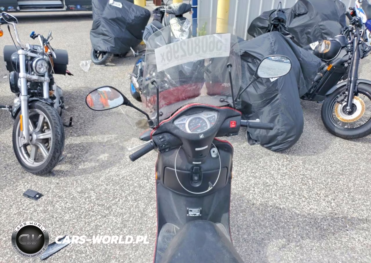 2010 Honda Elite VIN:LWBJF1906A1002025 - 6