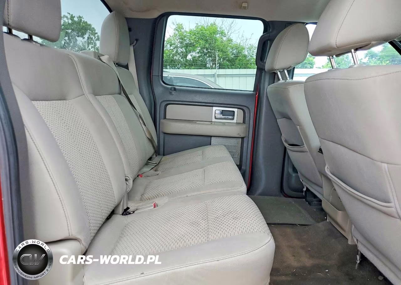 2010 Ford F150 Supercrew VIN:1FTEW1C80AFD87160 - 10