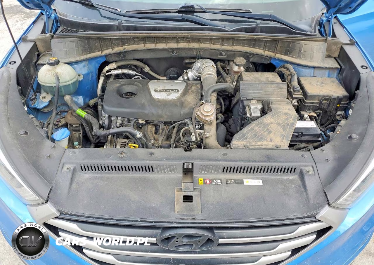 2018 Hyundai Tucson Value VIN:KM8J33A23JU699708 - 12