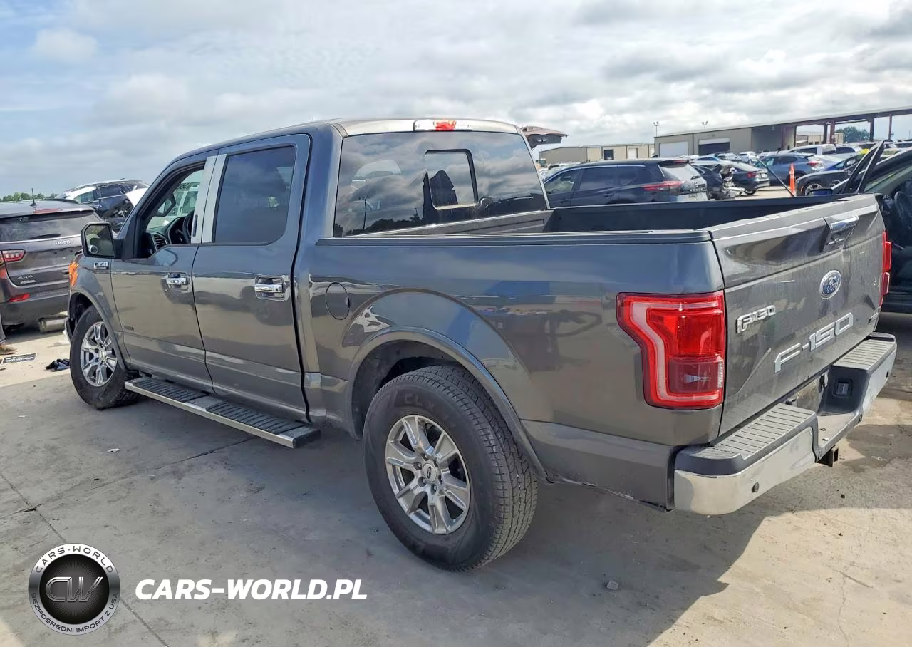 2016 Ford F150 Supercrew VIN:1FTEW1CP5GKE93739 - 2