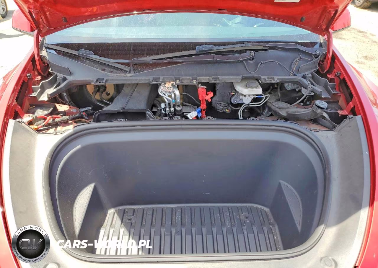 2023 Tesla Model Y VIN:7SAYGDEE8PA041921 - 12