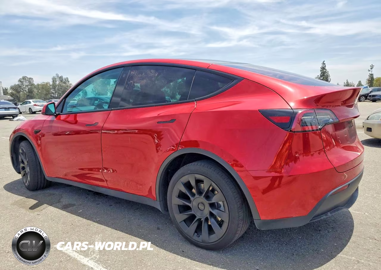 2023 Tesla Model Y VIN:7SAYGDEE8PA041921 - 2