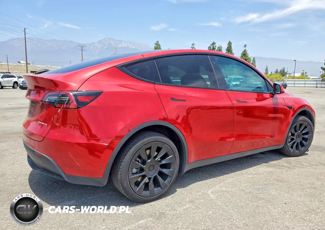2023 Tesla Model Y VIN:7SAYGDEE8PA041921 - 3