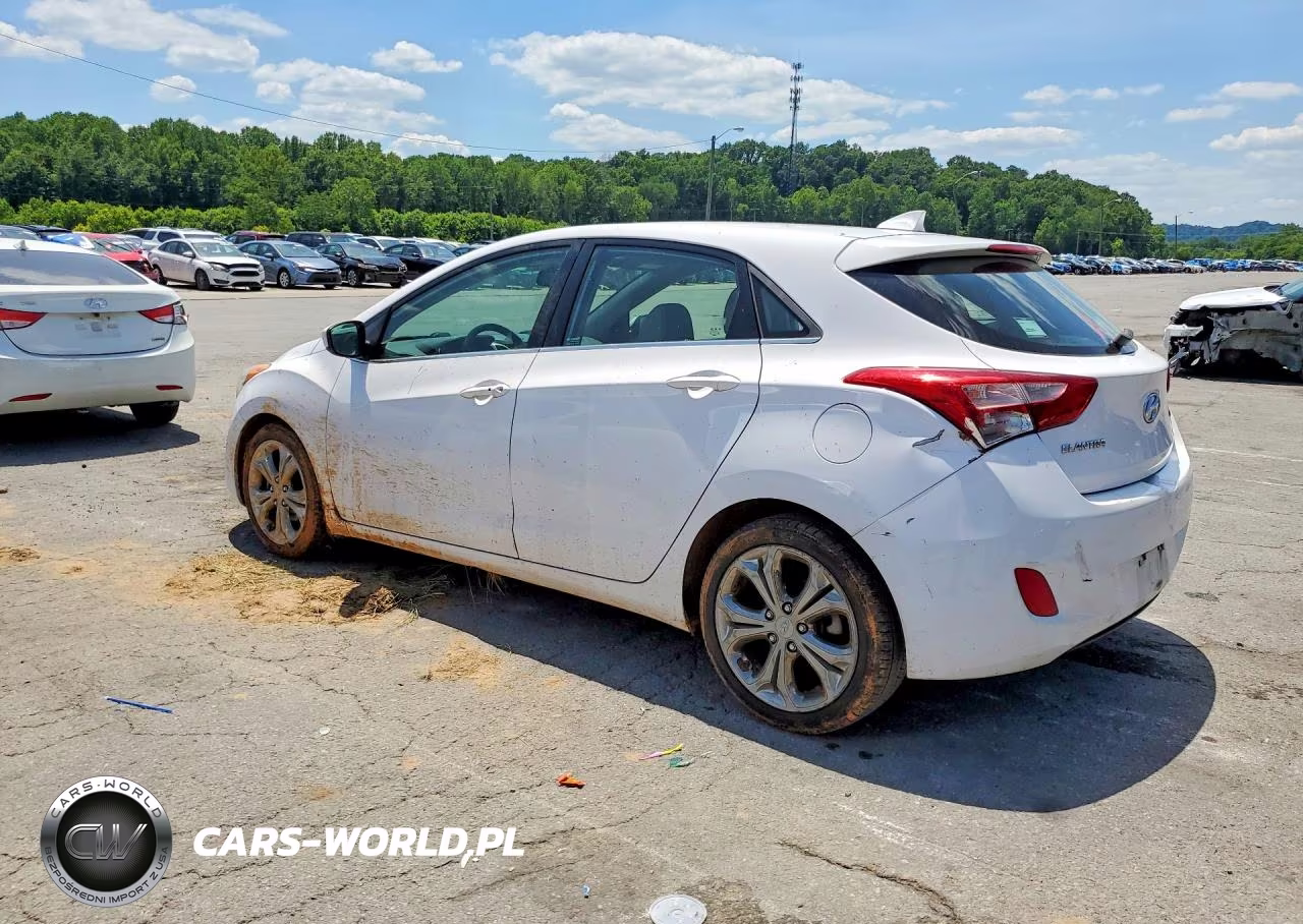2013 Hyundai Elantra Gt Base VIN:KMHD35LEXDU041890 - 2