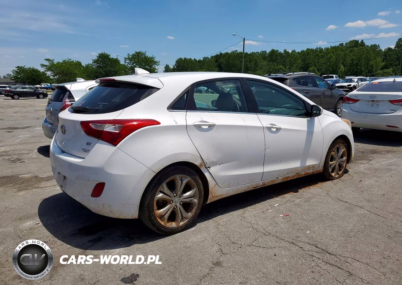 2013 Hyundai Elantra Gt Base VIN:KMHD35LEXDU041890 - 3
