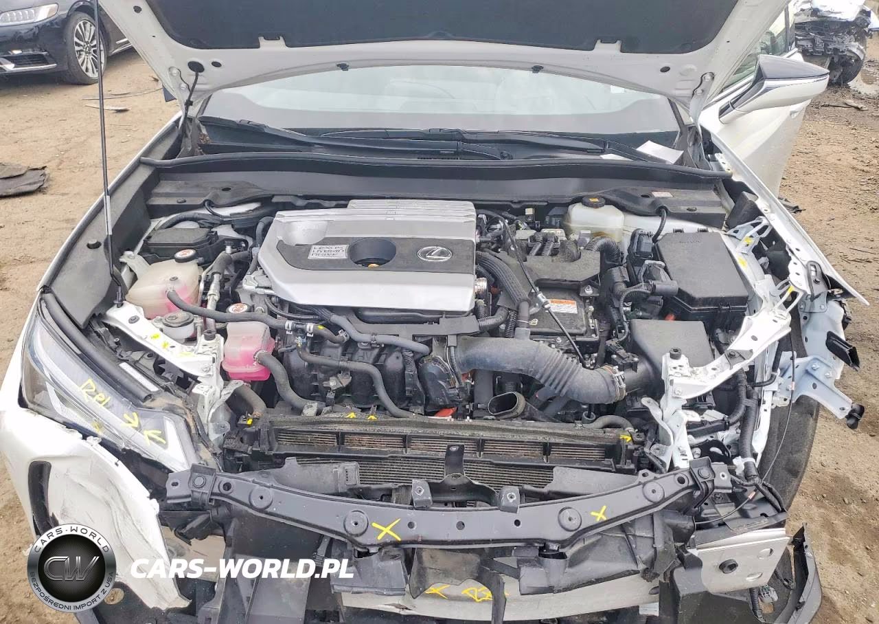 2019 Lexus Ux 250H VIN:JTHU9JBH6K2008397 - 12