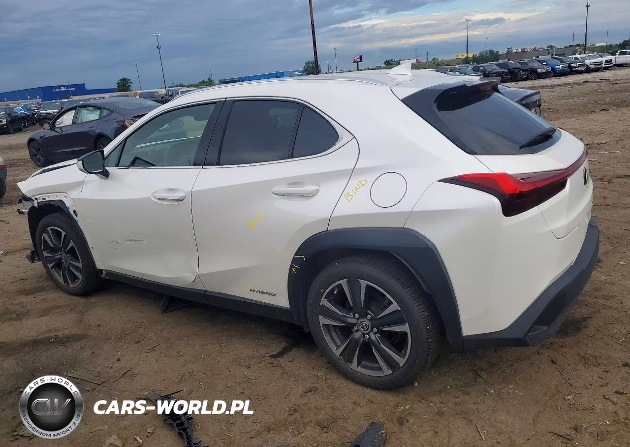 2019 Lexus Ux 250H VIN:JTHU9JBH6K2008397 - 2