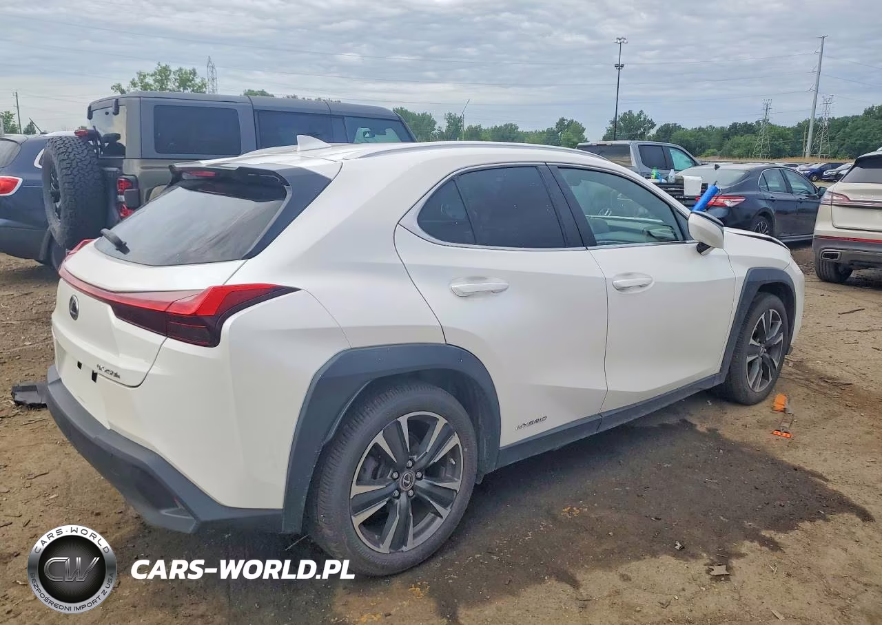 2019 Lexus Ux 250H VIN:JTHU9JBH6K2008397 - 3