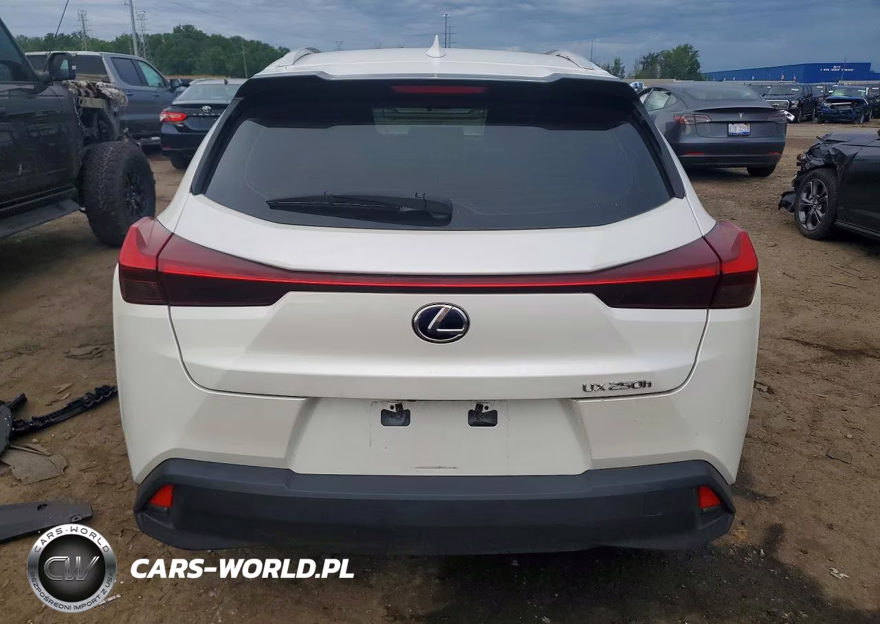 2019 Lexus Ux 250H VIN:JTHU9JBH6K2008397 - 6