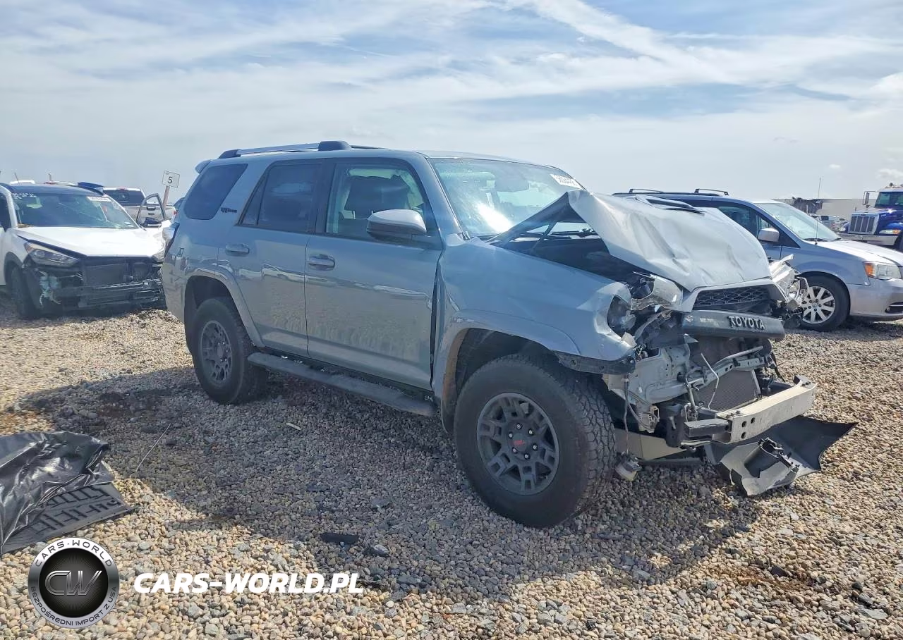2017 Toyota 4Runner Trd Pro VIN:JTEBU5JR9H5432099 - 4