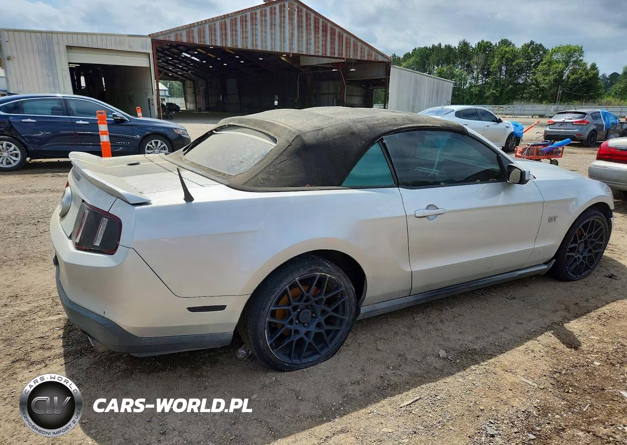 2010 Ford Mustang Gt VIN:1ZVBP8FH3A5152095 - 3