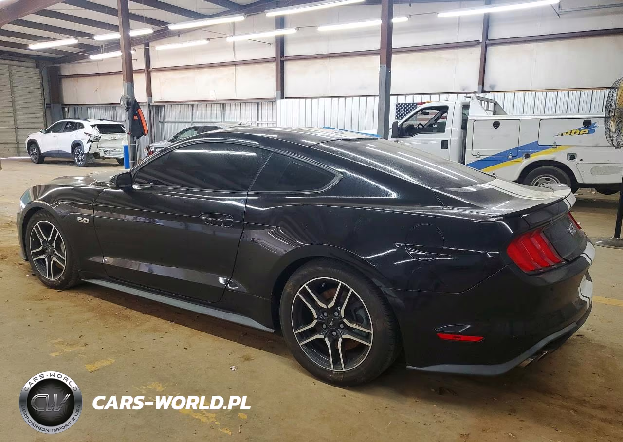 2019 Ford Mustang Gt VIN:1FA6P8CF8K5194020 - 2