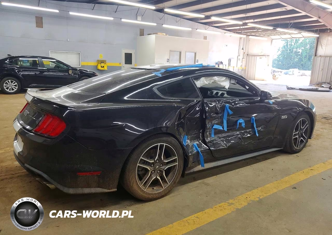 2019 Ford Mustang Gt VIN:1FA6P8CF8K5194020 - 3