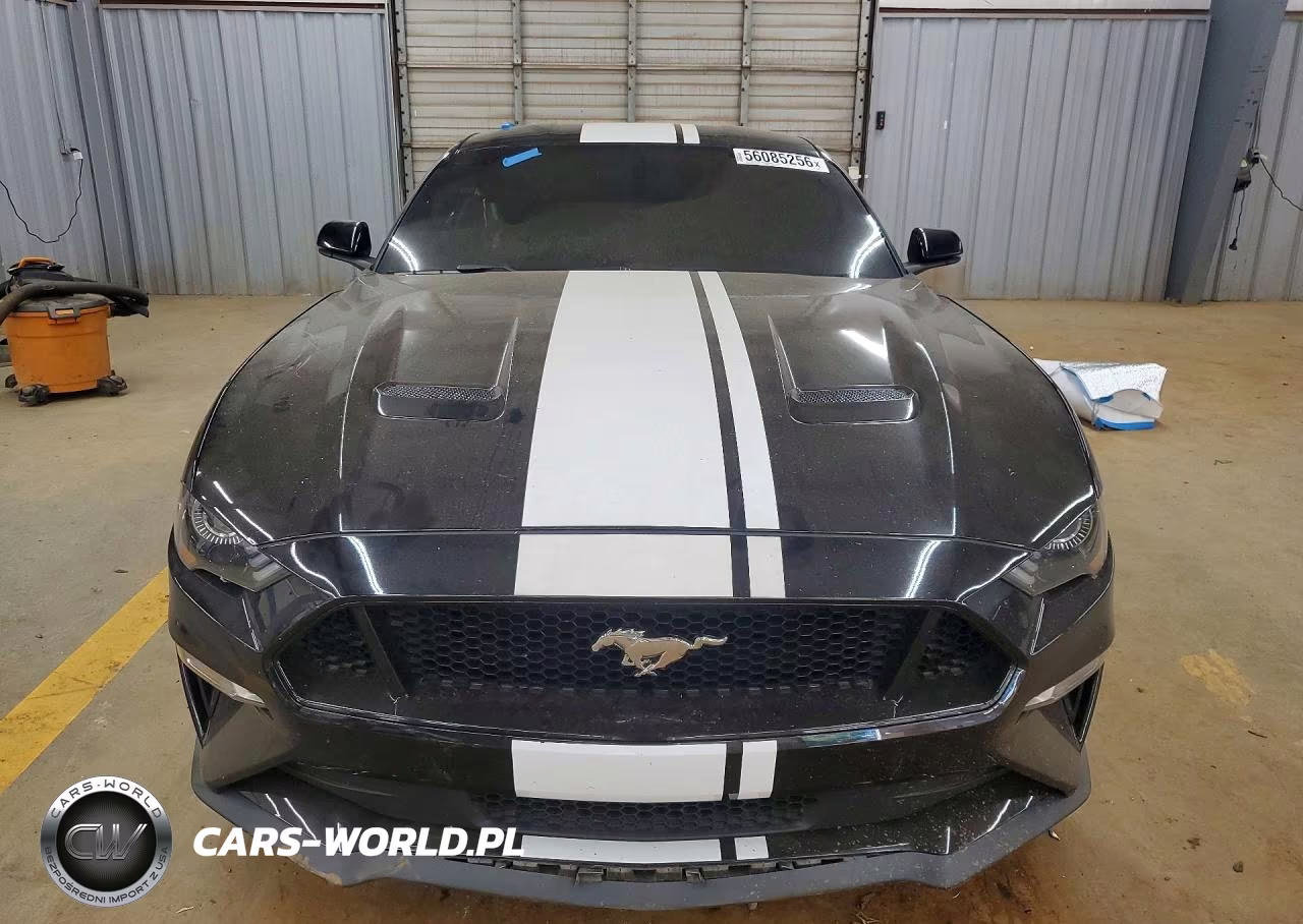 2019 Ford Mustang Gt VIN:1FA6P8CF8K5194020 - 5