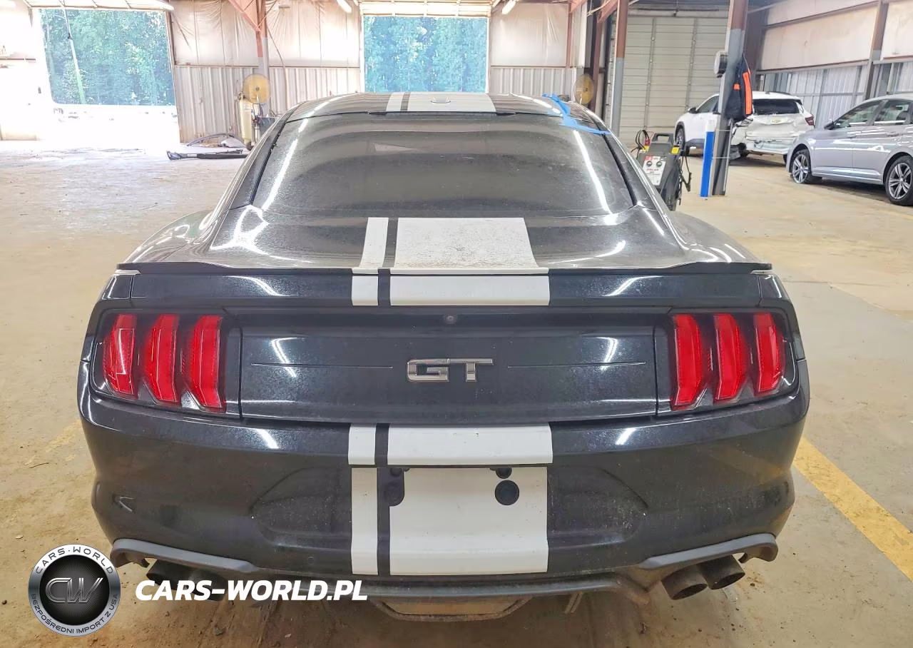 2019 Ford Mustang Gt VIN:1FA6P8CF8K5194020 - 6