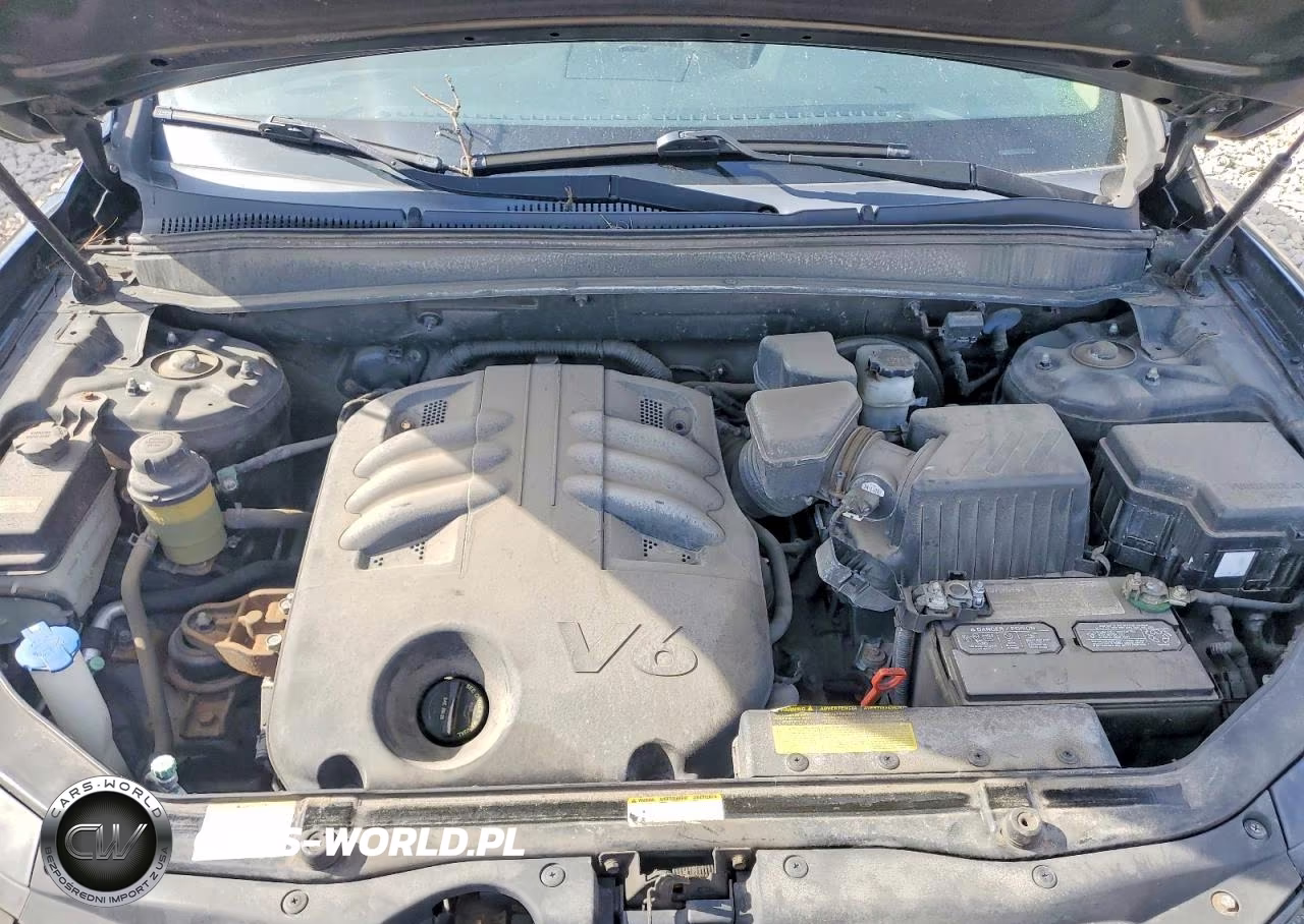 2009 Hyundai Santa Fe VIN:5NMSH73E59H317870 - 11