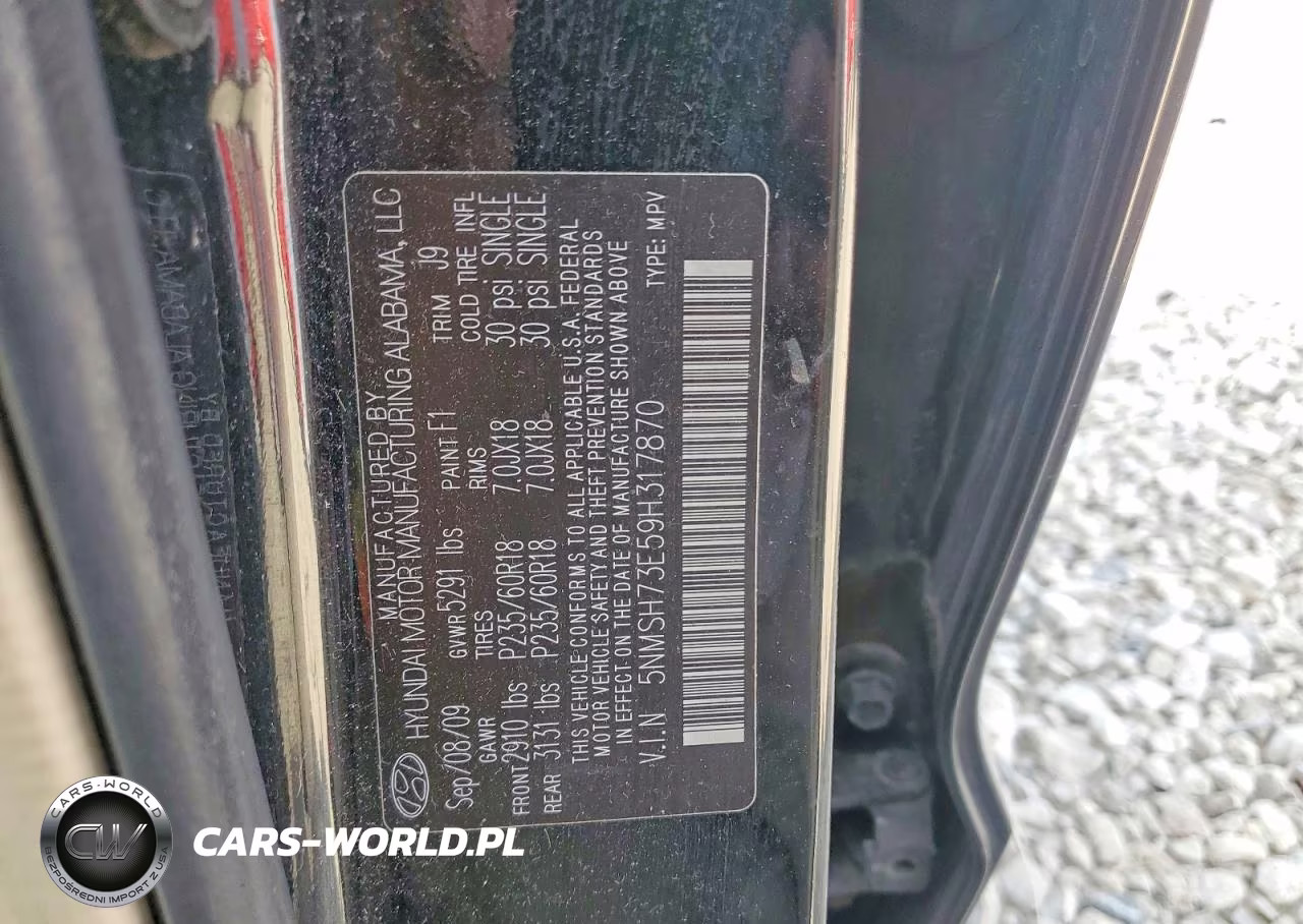 2009 Hyundai Santa Fe VIN:5NMSH73E59H317870 - 12