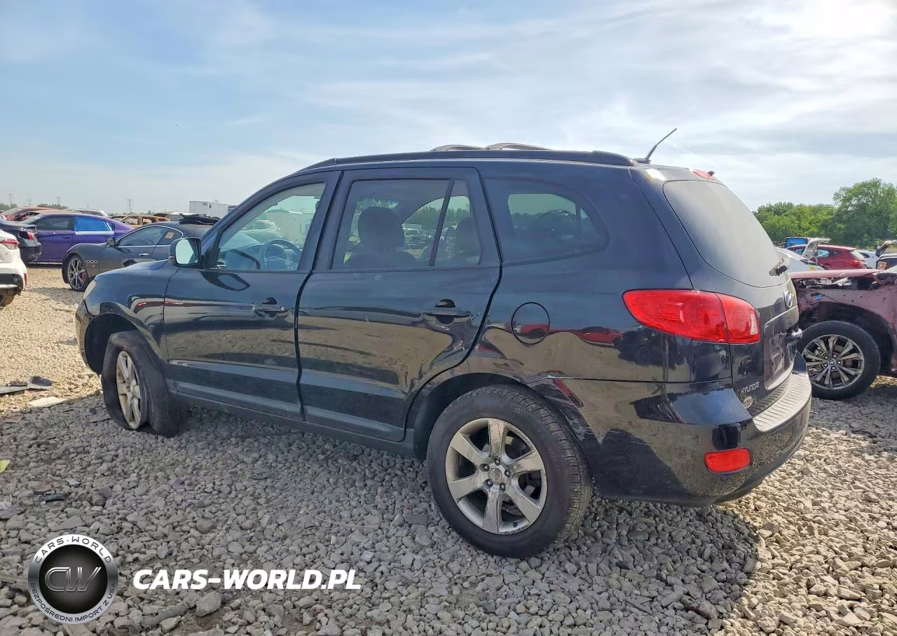 2009 Hyundai Santa Fe VIN:5NMSH73E59H317870 - 2