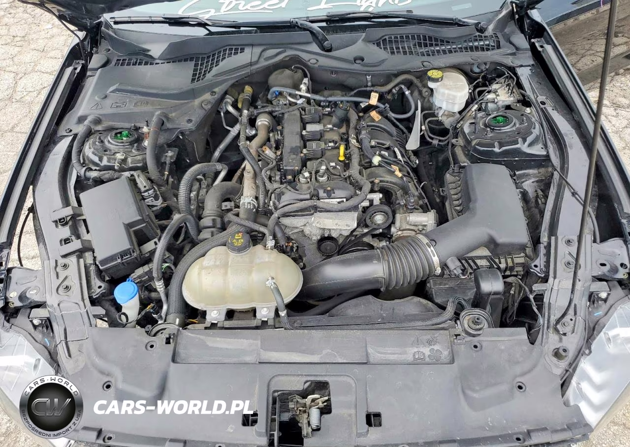 2023 Ford Mustang VIN:1FA6P8TH1P5106188 - 11