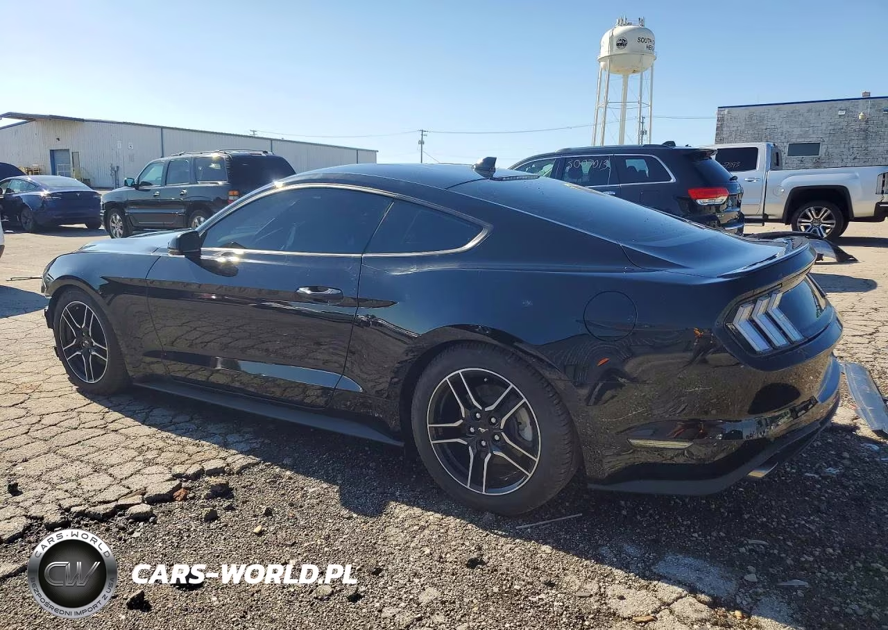 2023 Ford Mustang VIN:1FA6P8TH1P5106188 - 2