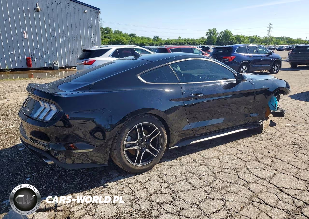 2023 Ford Mustang VIN:1FA6P8TH1P5106188 - 3
