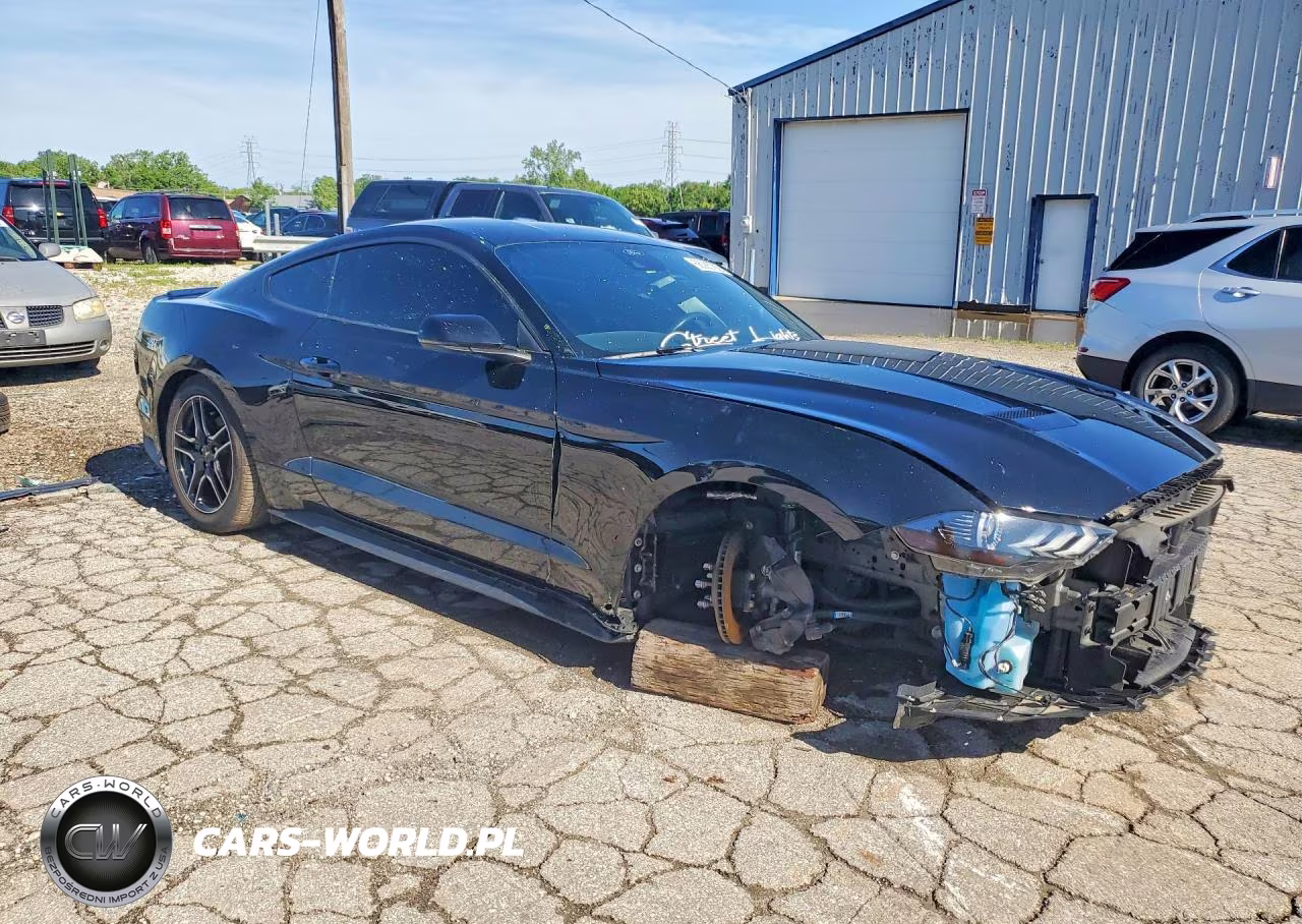 2023 Ford Mustang VIN:1FA6P8TH1P5106188 - 4