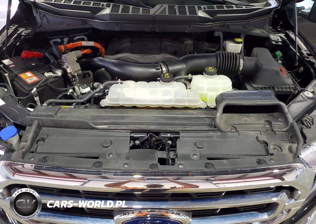 2021 Ford F150 Supercrew VIN:1FTFW1ED0MFC14998 - 11