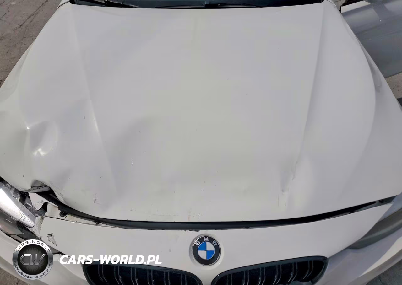 2014 BMW 320 I xDrive VIN:WBA3C3G53ENS72010 - 11