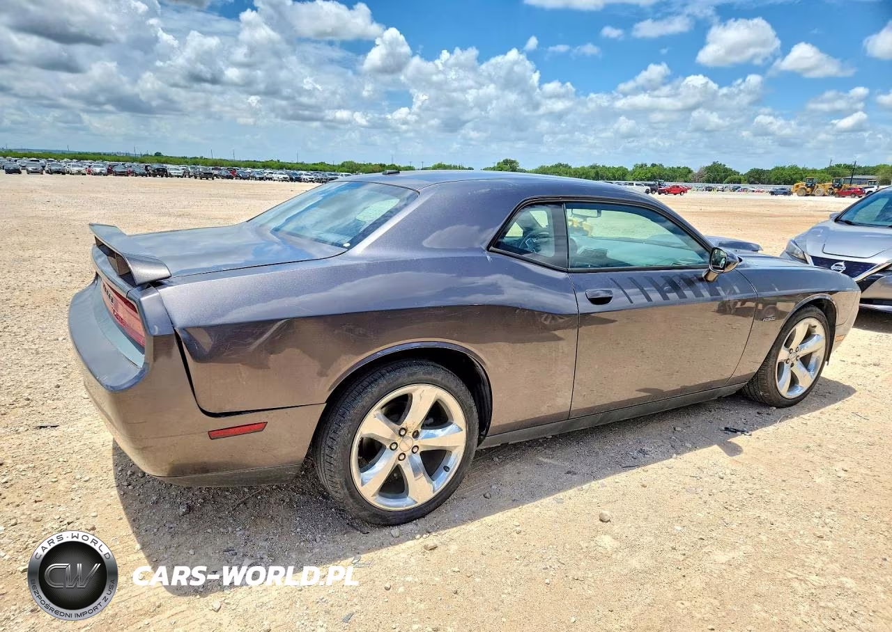 2014 Dodge Challenger R VIN:2C3CDYBT8EH302263 - 3