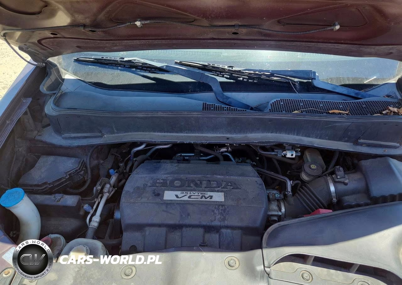 2009 Honda Pilot Exl VIN:5FNYF38569B014910 - 12