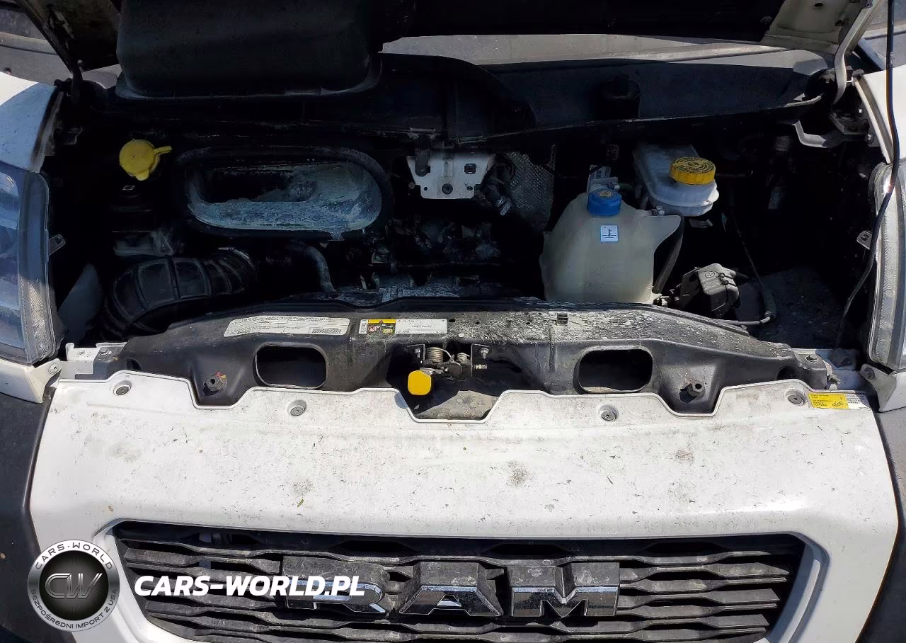 2019 Ram Promaster 1500 1500 Standard VIN:3C6TRVAG9KE522574 - 12