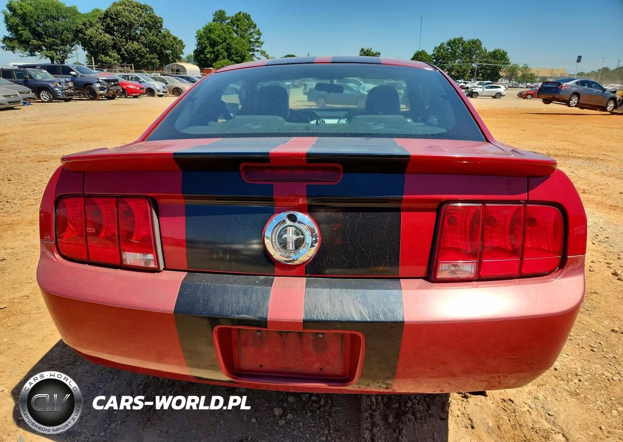 2008 Ford Mustang VIN:1ZVHT80N985104387 - 6
