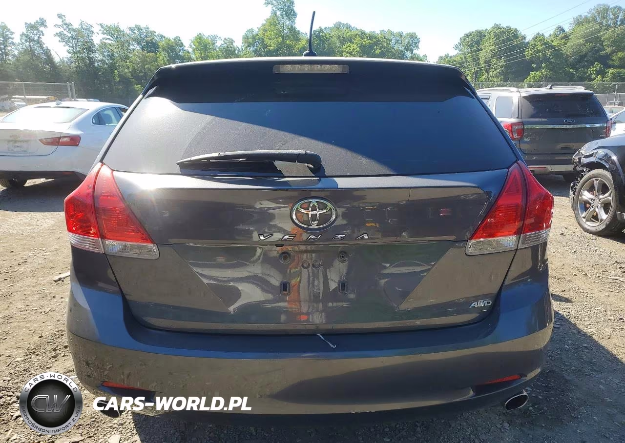 2009 Toyota Venza Awd V6 VIN:4T3BK11A49U006389 - 6